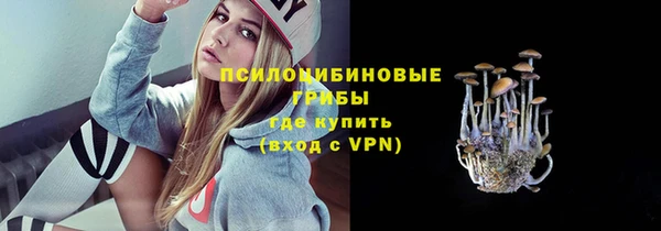 PSILOCYBIN Конаково