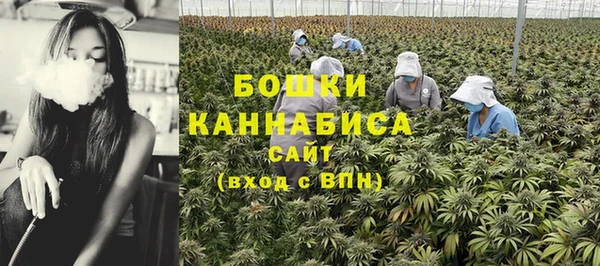 шишки Чегем