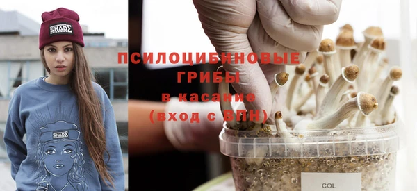 дмт Дмитриев