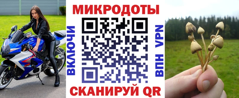 Псилоцибиновые грибы прущие грибы  Новосокольники 